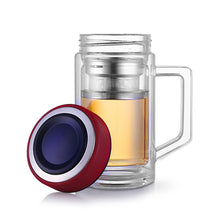 Load image into Gallery viewer, Double Wall Glass Heat Resistant Tea Infuser Cups with Filter Handle